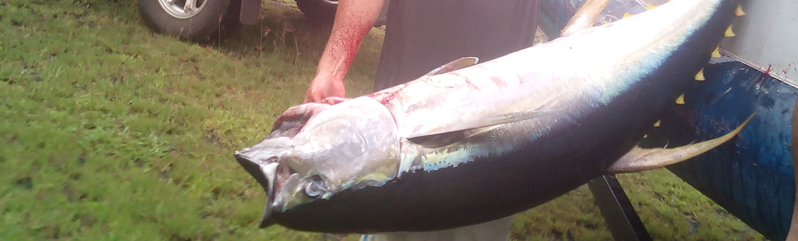 Game Fishing Cook Islands